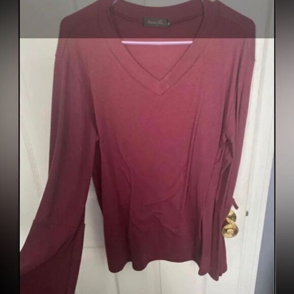Tops - - Suzanne betro Maroon bells, sleeves, size medium, long‎ sleeve top